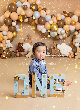 Teddy Bear 1st Birthday Photoshoot NJ