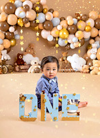 Teddy Bear 1st Birthday Photoshoot NJ