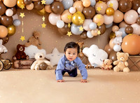 Teddy Bear 1st Birthday Photoshoot NJ